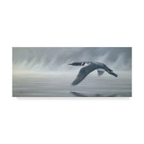 Trademark Fine Art 'Misty Duck Flight' Canvas Art by Wilhelm Goebel