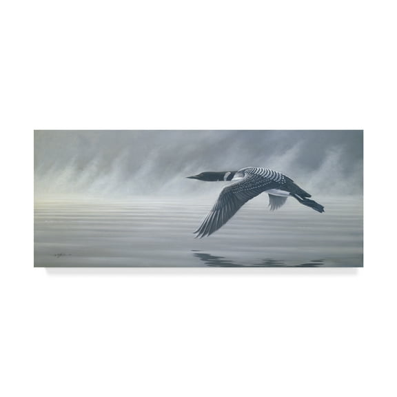 Trademark Fine Art 'Misty Duck Flight' Canvas Art by Wilhelm Goebel