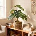thumbnail image 5 of 15"H Split Leaf in 6" Basket, 5 of 5