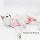 thumbnail image 4 of Ropa para mascotas, traje de esterilización/castración para gatos, traje postoperatorio de destete, traje de recuperación, rehabilitación postoperatoria para madre y gato, 1 Uds., 4 of 5
