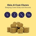 thumbnail image 6 of Dog Skin & Coat Chews for All Dogs Breeds (Chicken) - Colostrum, Vitamin C, Turmeric, 90 Count, 6 of 9