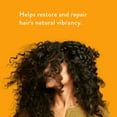 thumbnail image 4 of (6 pack) Native Strengthening Shampoo, Almond & Shea Butter, Sulfate & Paraben Free, 16.5 oz, 4 of 13