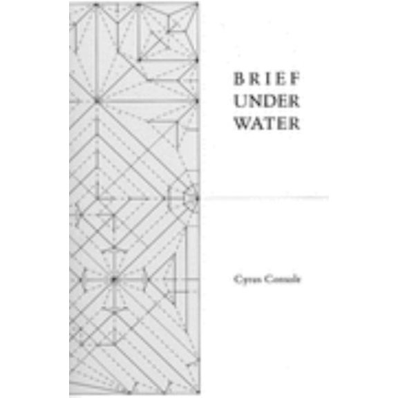 Pre-Owned Brief Under Water (Paperback) 1886224870 9781886224872