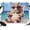Brown, White, Cyan, variant on 7x5ft Photo Backdrop, Funny Tiger Summer Beach Soft Polyester Backdrop Curtains Photography Backdrops, Blue Sand Vacations Brushed Background for Photoshoots Studio Video Portrait Parties