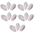 thumbnail image 2 of Walbest 15 Pcs Natural Ostrich Feathers Colored Soft Feather for Clothes Wedding Decor, 2 of 7