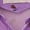 Purple, variant on Toddler Girls Boys Cartoon Lightweight Jacket Hooded Windbreaker Spring Summer Zip Up Outerwear Coat Fall Windcoat Rain Shell