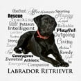thumbnail image 3 of CafePress - Black Lab Traits Sweatshirt - Crew Neck Sweatshirt, 3 of 4