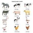 thumbnail image 4 of Set de juguetes HUOGUO Colorida simulación de aves de corral y animales pequeños x12, 4 of 5