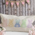 thumbnail image 4 of Easter Lumbar Pillow Cover 12X20 Watercolor Rabbbit Farmhouse Decorative Cushion Case Home Spring for Sofa Couch AA067-12, 4 of 5