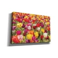 thumbnail image 2 of Epic Graffiti 'Colorful Bouquet' by Martin Podt, Canvas Wall Art, 18"x12", 2 of 3