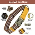 thumbnail image 3 of Didog Personalized Nylon Dog Collar Engraved Brass Buckle with Name and Phone S M L, 3 of 8