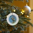 thumbnail image 7 of 3drose, Cedar Waxwing Bird on Chinaberry Tree, Texas - Na02 Rnu0489 - Rolf Nussbaumer, Circle Porcelain Ornament, 7 of 7