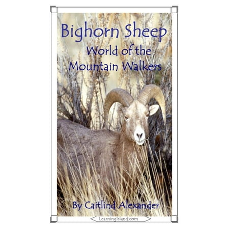 Bighorn Sheep: World of the Mountain Walkers -