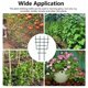 thumbnail image 5 of Paquete de 5 soportes de enrejado para plantas trepadoras - Soporte de jardín de ratán - Estructura de plástico en capas - Mini rejilla trepadora para plantas trepadoras—, 5 of 5