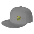 thumbnail image 1 of DouZhe Flat Brim Cap Snapback Hat, Green Frog Toad Animal Prints Adjustable Gray Adult Baseball Cap, 1 of 6