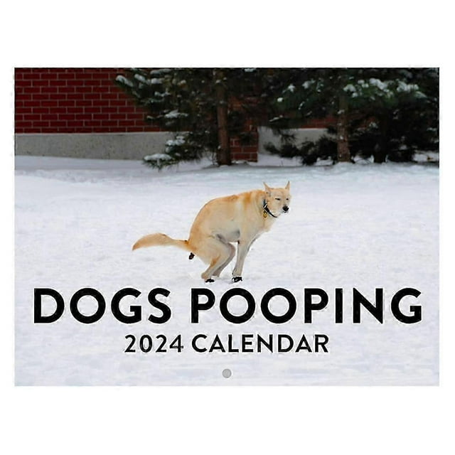 Pooping 2024 Wall Calendar Funny Dog Pattern 2024 Wall Calendar For New Year Christmas Gifts