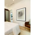 thumbnail image 4 of "White Urchin Shell" Framed Painting Print, 4 of 4