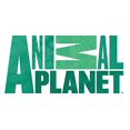 thumbnail image 2 of Almohada de soporte para cuello Animal Planet León de peluche para niños, 2 of 2
