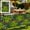 Expandable Faux Ivy Fence Under $5 a7, variant on CQCYD Artificial Hedge Fence Panel, Expandable Faux Leaf Privacy Screen, Decorative Greenery Wall for Balcony, Garden and Outdoor, 24x16 Inch