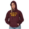 thumbnail image 4 of Mathlete Pi Math Student Teacher Hoodie Sweatshirt Women Men Brisco Brands 2X, 4 of 6