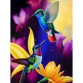 thumbnail image 1 of Pintura de diamante 5D DIY Taladro redondo completo Colibrí Decoración Arte Artesanía (dg594) Hugtrwg Para estrenar, 1 of 9