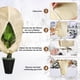 thumbnail image 2 of Inteprter 2 uds cremallera de tela y cordón funda protectora de plantas de invierno versátil protección efectiva Jardín y Patio, 2 of 6