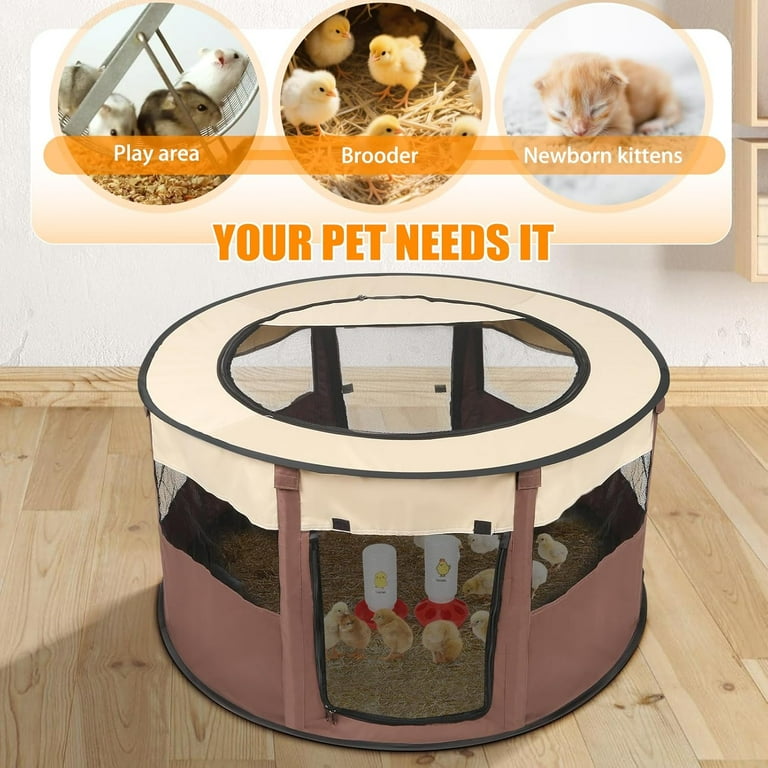 Brooder Box BiiKoon For Chicks Starter Kit Chicken Brooding Baby Chick Supplies