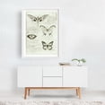 thumbnail image 2 of Butterflies - Drawing Black and White Nature Botanical Vintage White Framed Wall Art Print 24 x 36 inches, 2 of 3