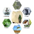 thumbnail image 5 of Cubierta De Invierno Para Plantas, Protección De Invierno Para Plantas, Cubierta De Invierno No Tejida, Protección Contra Heladas Para Plantas En Macetas Y Rosas (240 * 200 Cm) (hy, 5 of 5