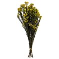 thumbnail image 1 of Vickerman H1RCF700 Fleur de Riz Jaune 16-23 Po avec Lot de 4-5 oz, 1 of 1