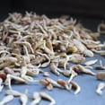 thumbnail image 3 of Organic Hulled Sunflower Seeds (No Shell): 2 Lbs - Non-GMO, Raw, Sprouting Seed Kernels - Grow Sun Flower Sprouts, 3 of 3