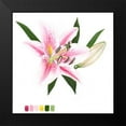 thumbnail image 2 of McCavitt, Naomi 20x20 Black Modern Framed Museum Art Print Titled - Brighton Blooms II, 2 of 5