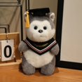 thumbnail image 1 of Cartoon PhD hat doll Plush toy PhD doll Graduation season commemorative gift, 1 of 3