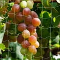 thumbnail image 1 of CRAFTHROU 2Ud Malla Trellis Para Plantas Trepadoras Soporte De Jardín Flexible Y Duradera, 1 of 8
