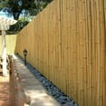 Backyard XScapes Natural Bamboo Fencing Garden Screen Rolled Fence