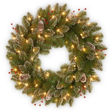 24 in. Glittery Mountain Spruce with LED Lights
