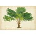 thumbnail image 2 of Van Houtteano, Horto 14x11 White Modern Wood Framed Museum Art Print Titled - Palm of the Tropics V, 2 of 4