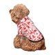 thumbnail image 5 of Balery Gnome Merry Christmas Sudadera con Capucha para Perros Pequeños – Ropa para Mascotas, Disfraz para Perros y Gatos, Ideal para Fiestas y Cosplay-X-Large, 5 of 7