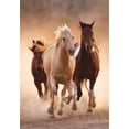 thumbnail image 2 of Rompecabezas Clementoni Caballos Galopando 1000 Piezas 39771, 2 of 2