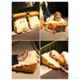 thumbnail image 3 of Soft Triangle Cushion Pillow For Bed And Sofa Support Comfortable Backrest Decorative Throw Pillow With PP Filling(Four Types Of Facial Expressions), 3 of 3