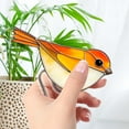 thumbnail image 6 of Acrylic Potted Bird Stake Decoration, 2D Colorful Bird Decorative Garden Stakes, Bird Butterfly Garden Ground Insert Decor for Flower Pot Planter House Indoor Outdoor, 6 of 9