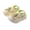 Green#4, variant on LIIPEE Girls Boys Slippers Cartoon Animal Closed Toe Non- Soft Sole On Water Shoes Child Leisure Beach Slipper,Brown,6-7 Years
