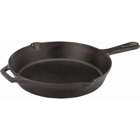Visualz Pre-Seasoned Cast Iron Skillet, 10.25-Inch
