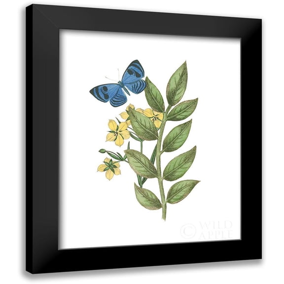 Wild Apple Portfolio 12x14 Black Modern Framed Museum Art Print Titled - Greenery Butterflies IV
