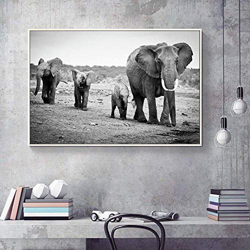 wall26 Floating Framed Canvas Wall Art for Living Room, Bedroom Black and  White Wild Animal Canvas Prints for Home Decoration Ready to Hang - 24x36 