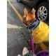 thumbnail image 4 of Correa Para Perro Grande/ Mediano Trenzada Resistente 120cm, 4 of 6