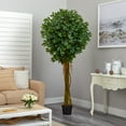 thumbnail image 5 of Nearly Natural 7.5' Ficus Artificial Tree UV Resistant (Indoor/Outdoor), 5 of 5