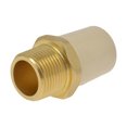 thumbnail image 3 of adaptador macho 3/4 de pulgada beige b&k, 3 of 4