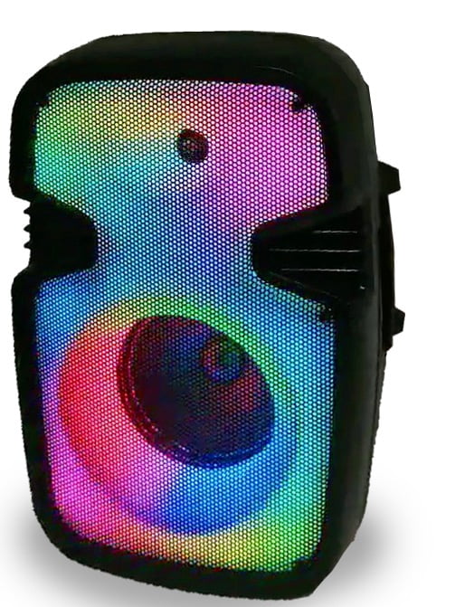 Technical Pro 10" Bluetooth Speaker Package