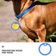 thumbnail image 3 of BESTYASH 8Ud Protector De Placas Para Perros Silicona Azul Silenciador Para Mascotas Reduce Ruido Y, 3 of 8